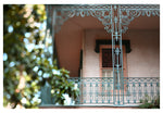 Savannah Detail #1 - Fine Art Photograph