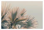 Stretch - Fine Art Photograph