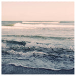 Sun Shine - Fine Art Photograph