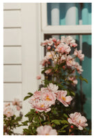 The Heart Of Summer #4 - Fine Art Photograph