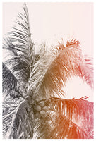 Toasted Coconut - Fine Art Photograph