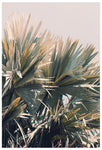 To The Light - Fine Art Photograph