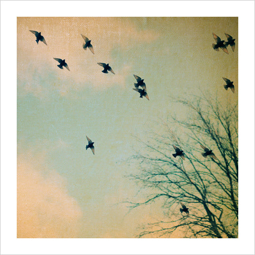 Over The Rainbow - Fine Art Photograph