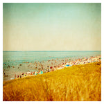 The Last Days of Summer - Fine Art Photograph