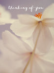 Thinking of You 6 - Card