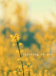 Thinking of You 2 - Card