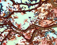 Delicate Balance- Friday Outlet- 8x10