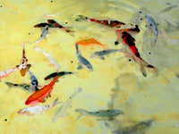 Yellow Koi - Friday Outlet - 8"x10.75"