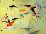 Yellow Koi - Friday Outlet - 8"x10.75"
