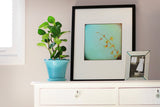Anniversaire - Fine Art Photograph