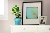 Sunshine to Grow - Fine Art Photograph