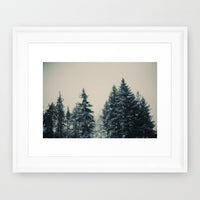 Winter Fancy -  Fine Art Photograph