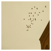Flying Home - Fine Art Photograph