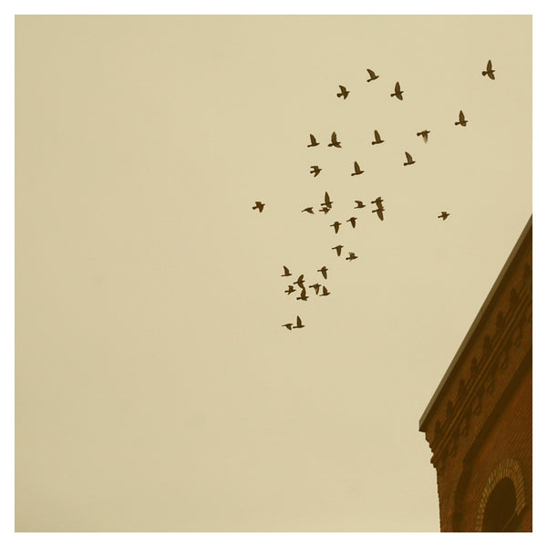 Flying Home - Fine Art Photograph