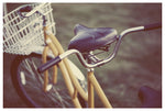One of the beautiful bicycles found on Mackinac Island. Photographed by Alicia Bock.