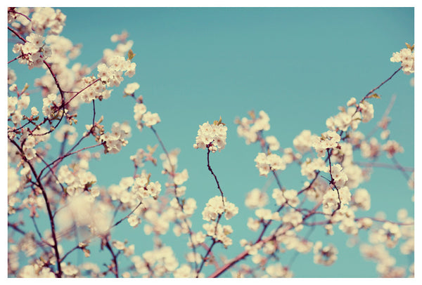 Not a Cloud in the Sky - Fine Art Photograph