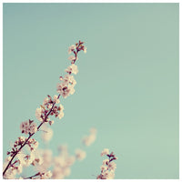 Touch and Go - Fine Art Photograph