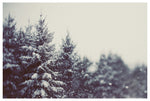 Winter Daydream #2 - Fine Art Photograph