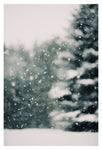 Winter Daydream #3 - Fine Art Photograph - CM