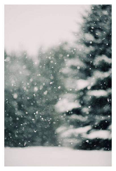 Winter Daydream #3 - Fine Art Photograph