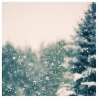 Winter Daydream #1 - Fine Art Photograph