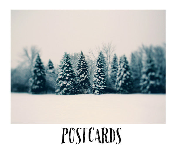 Winter and Woods - Postcard