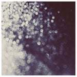 Starry Eyed - Fine Art Photograph