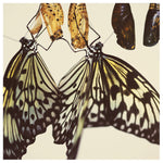 Chrysalis -  Fine Art Photograph