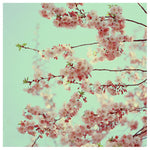 Free Spirit - Fine Art Photograph