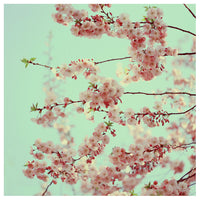 Free Spirit - Fine Art Photograph