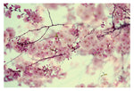 Carry On - Fine Art Photograph