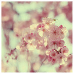Letters To Myself - Fine Art Photograph
