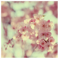 Letters To Myself - Fine Art Photograph