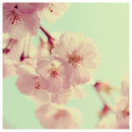 Fleeting - Fine Art Photograph