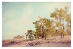 Summer Still - Fine Art Photograph