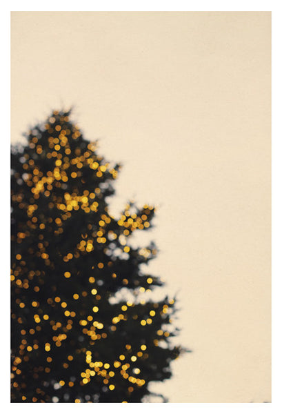 Merry and Bright - Fine Art Photograph