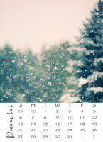 Daydreams & Visions - 2015 Calendar