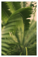 The Green Light #6 - Fine Art Photograph