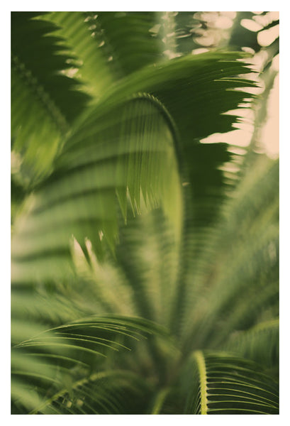 The Green Light #6 - Fine Art Photograph