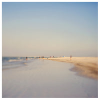 Purple Haze #1 - Fine Art Photograph