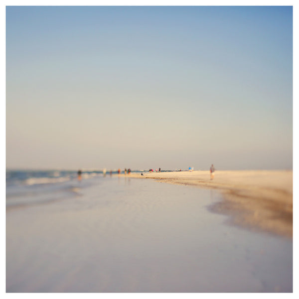 Purple Haze #1 - Fine Art Photograph