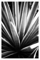 Desert #10 - Fine Art Photograph
