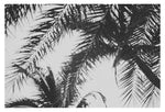 Palm In Gray #4 - Fine Art Photograph