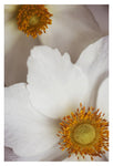 Two Of Hearts - Fine Art Photograph