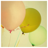 Joy - Fine Art Photograph