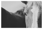 Carmel #2- Fine Art Photograph