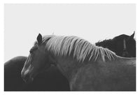 Carmel #3- Fine Art Photograph