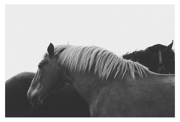 Carmel #3- Fine Art Photograph