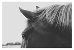 Carmel - Fine Art Photograph