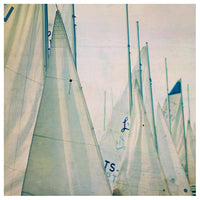 Sail #4 - Fine Art Photograph